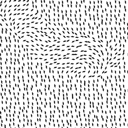 Mouse grid