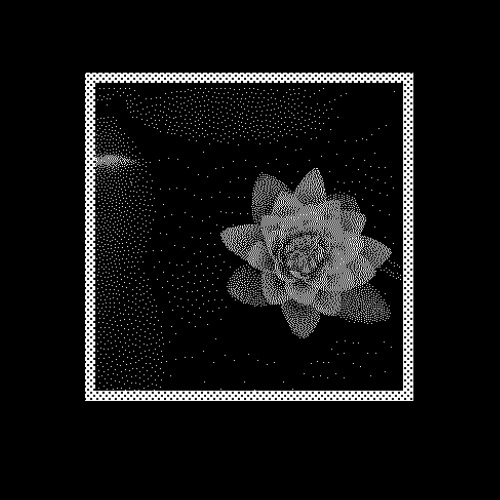 1bit Flowers